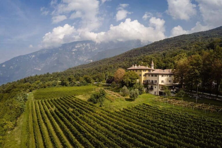 Wine tour at Borgo dei Posseri: wine, nature, and authenticity - Frequently Asked Questions