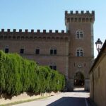 Wine Tour Bolgheri Half day Shore Excursion from Piombino Port - Authenticity and Value for Money