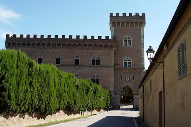 Wine Tour Bolgheri Half day Shore Excursion from Piombino Port - Authenticity and Value for Money