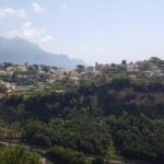 Wine Tour Experience for Family or friend's group - The Value of the Experience