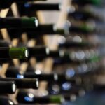 Wine Tour in Azeitão and Setúbal with Arrábida Beaches - Who Should Consider This Tour?