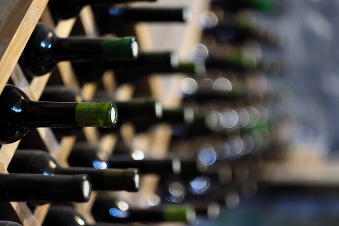 Wine Tour in Azeitão and Setúbal with Arrábida Beaches - Who Should Consider This Tour?