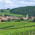 Wine tour in Pouilly Fuissé - A Deep Dive into the Pouilly-Fuissé Wine Tour