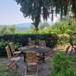 Wine Tour in the Countryside of Lucca with Lunch - with Minivan - The Value of This Experience