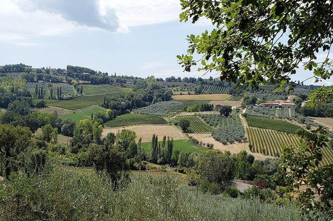 Wine tour in Umbria along the Sagrantino trail with light lunch - The Allure of the Umbrian Countryside and Medieval Charm