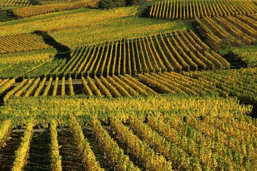 Wine tour of the Alsace wine route - Analyzing the Value