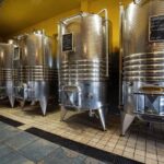 Wine Tour & Tasting of 6 Wines  Le Macchie, near Rome - Final Thoughts: Authenticity and Value in Every Sip