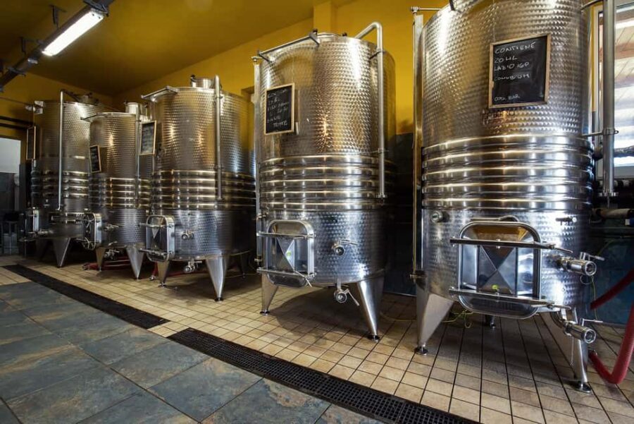 Wine Tour & Tasting of 6 Wines  Le Macchie, near Rome - Final Thoughts: Authenticity and Value in Every Sip