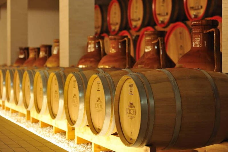 Wine Tour "The pearls of Manduria" - In-Depth: The Experience Itself