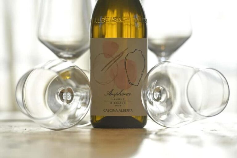 Wine Tour.Visit a Small Organic Winery in the Langhe/Cascina Alberta - Why This Tour Stands Out
