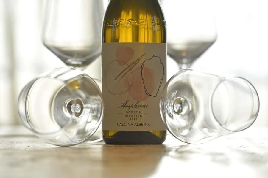 Wine Tour.Visit a Small Organic Winery in the Langhe/Cascina Alberta - Why This Tour Stands Out