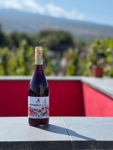 Wine tour with wine tasting - Final Thoughts: Who’s It Best For?