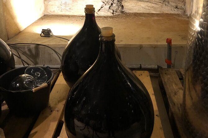 Wine Tours and Tastings from Béziers - Final Thoughts