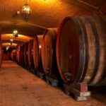 Wine Tour&Tasting THE SELECTIONS - In-Depth Review of the Experience