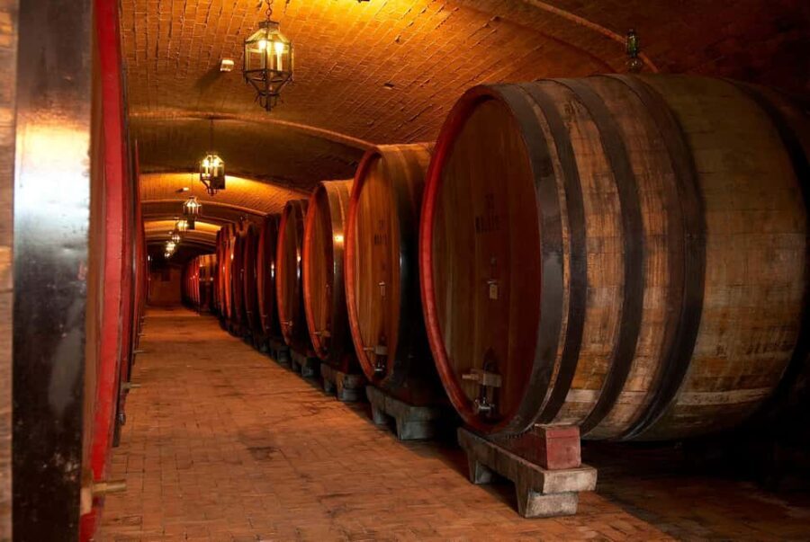 Wine Tour&Tasting THE SELECTIONS - In-Depth Review of the Experience