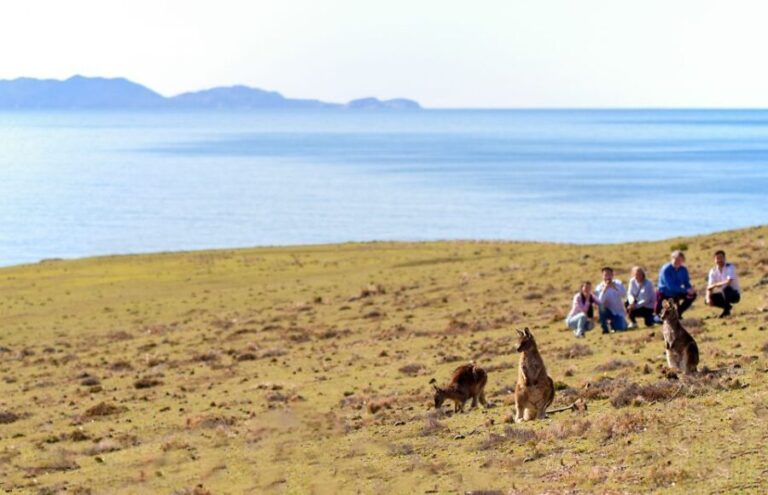 Wineglass Bay and Maria Island Scenic Flight Experience - The Authentic Benefits of This Scenic Flight