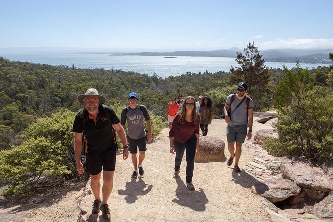 Wineglass Bay Beach Hike Active day tour - Authentic Experiences and Practical Details