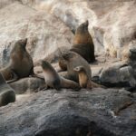 Wineglass Bay Cruise from Coles Bay - Final Thoughts