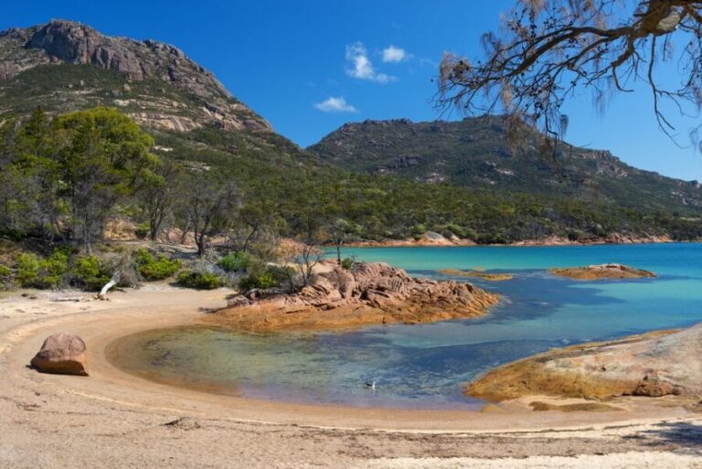 Wineglass Bay & Freycinet National Park Day Trip from Hobart - Final Thoughts: Is It Worth It?
