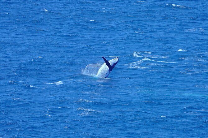 Wineglass Bay & Freycinet NP Full Day Tour from Hobart via Richmond Village - Who Will Love This Tour?