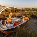 Winemaker's Alcove at Tenuta delle Ripalte - Exploring the Experience: What to Expect at the Winemaker’s Alcove