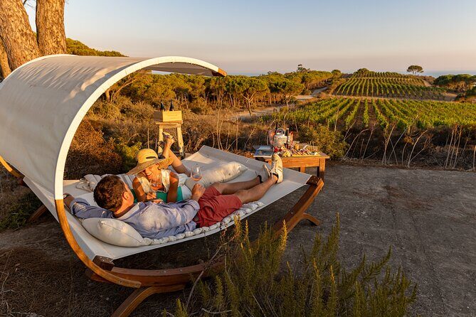 Winemaker's Alcove at Tenuta delle Ripalte - Exploring the Experience: What to Expect at the Winemaker’s Alcove