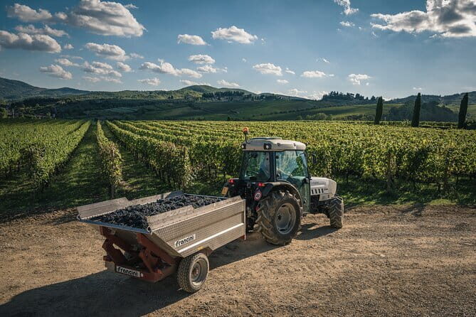 Wineries Tour and Wine Tastings in Chianti Hills from Florence - Exploring the Itinerary in Detail