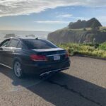 Winery and Vineyard Transportation in Private Black Sedan - Visiting the Wineries: What Makes It Special