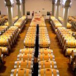 Winery tasting in Marsala and Mothia lagoon tour - Who will enjoy this tour?