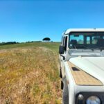 Winery, Tastings & 4WD Vineyards: Half-Day Trip from Lisbon - How it Fits Different Travelers