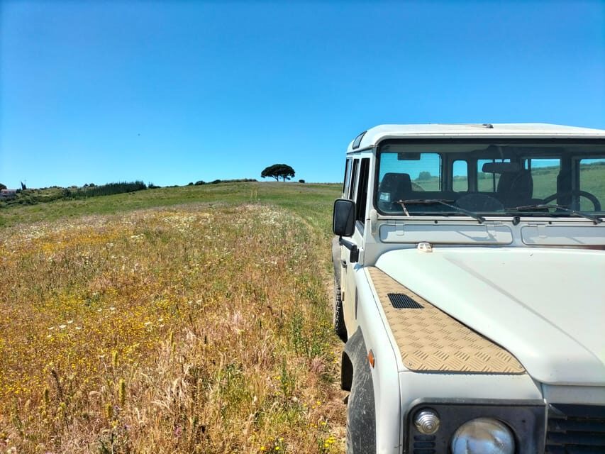Winery, Tastings & 4WD Vineyards: Half-Day Trip from Lisbon - How it Fits Different Travelers