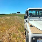 Winery, Tastings & 4WD Vineyards Ride, Half Day Trip from Lisbon - What We Loved About This Tour