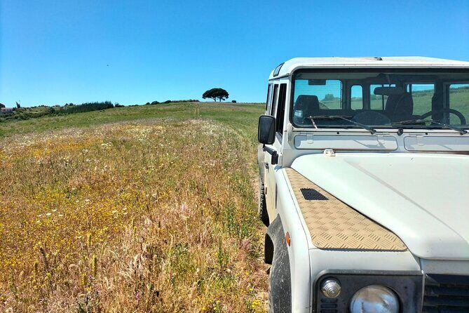 Winery, Tastings & 4WD Vineyards Ride, Half Day Trip from Lisbon - What We Loved About This Tour