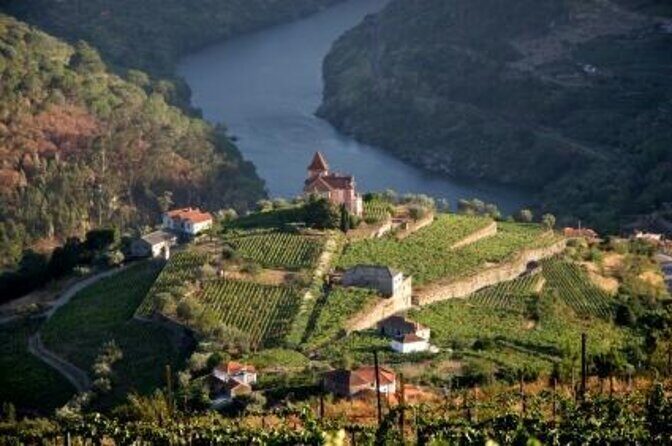 Winery Tour and Tasting in Douro Valley - An Authentic Taste of Douro: A Full Breakdown of the Experience