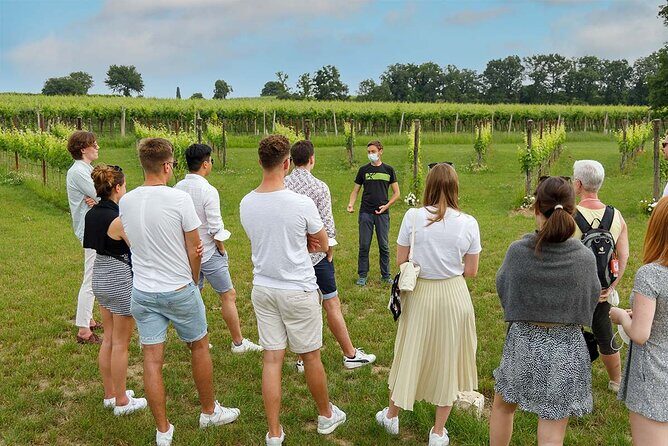 Winery Tour and Tasting of Garda Wines in Lazise - Frequently Asked Questions