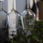 Winery tour and tasting of Sicilian organic wines in Marsala - In-Depth Review of the Winery Tour and Tasting Experience