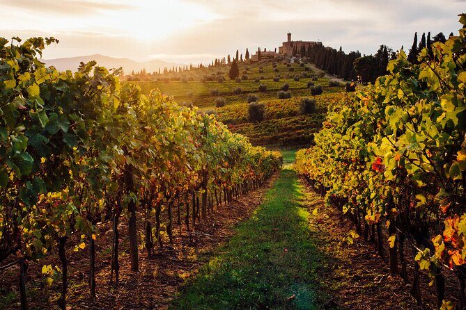 Winery Tour and tasting - Why This Tour is Worth Considering