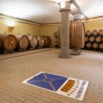 Winery tour and Tuscan wine tasting with culinary specialties - FAQs