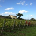 Winery tour and wine & cheese tasting - The Unique Barrel Room: Walking Through History