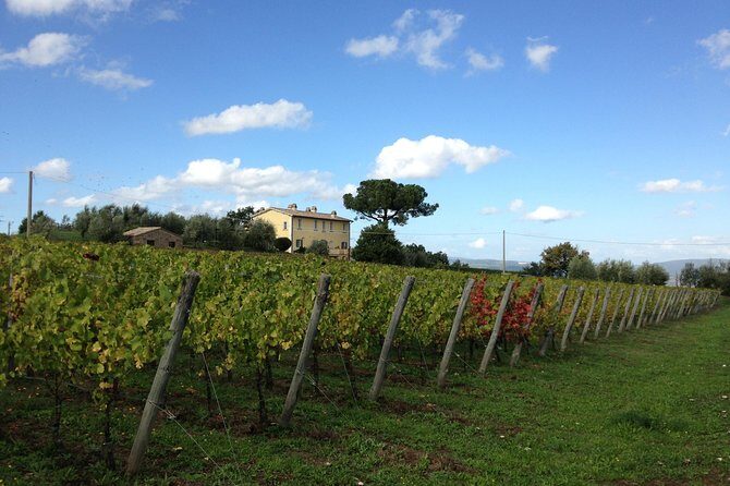 Winery tour and wine & cheese tasting - The Unique Barrel Room: Walking Through History