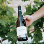 Winery tour and wine tasting - The Practicalities: What Travelers Should Know