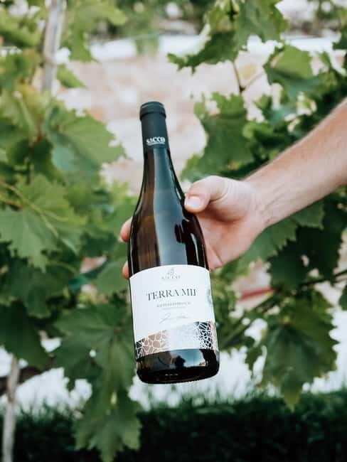 Winery tour and wine tasting - The Practicalities: What Travelers Should Know