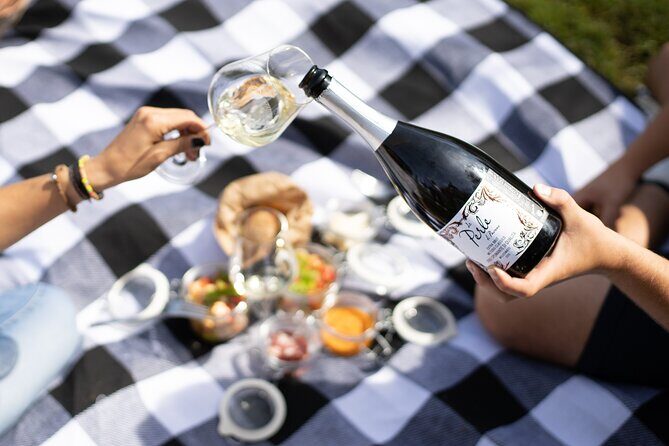 Winery Tour & picnic in the vineyard with a bottle of wine - Wine Tasting in an Authentic Tuscan Atmosphere