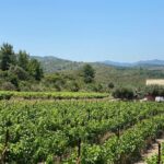 Winery Tour, Tasting and cooking with the Winemaker in Rhodes - Who Will Love This Tour?