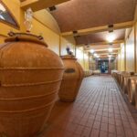 Winery Tour & Wine Tasting with Food near Livorno & Pisa - A Closer Look at the Experience