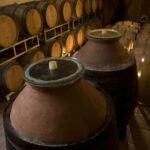 Winery Tour with Wine & Food Tasting near Riccione & Rimini - A Closer Look at the Experience