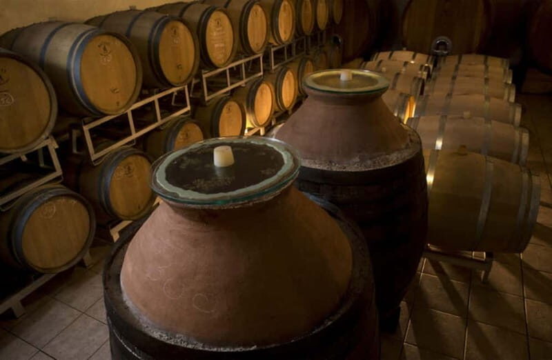 Winery Tour with Wine & Food Tasting near Riccione & Rimini - A Closer Look at the Experience
