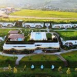 Winery touring & private wine tasting - one day private tour - Exploring the Day: A Deep Dive into the Experience
