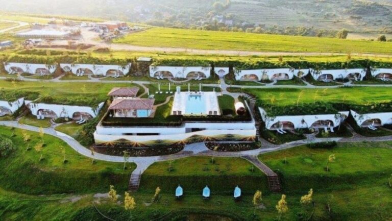 Winery touring & private wine tasting - one day private tour - Exploring the Day: A Deep Dive into the Experience