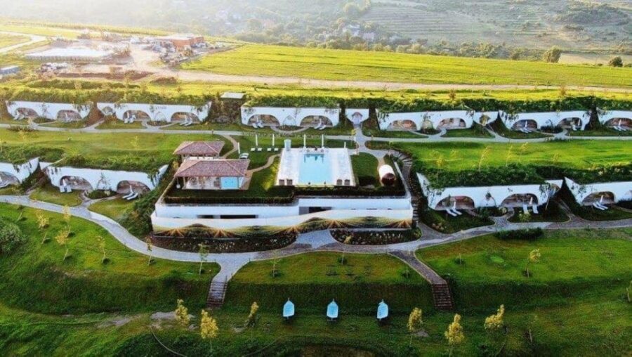 Winery touring & private wine tasting - one day private tour - Exploring the Day: A Deep Dive into the Experience